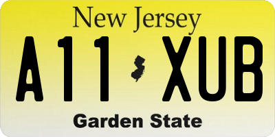 NJ license plate A11XUB