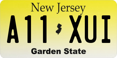 NJ license plate A11XUI