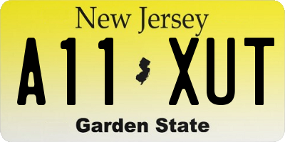 NJ license plate A11XUT