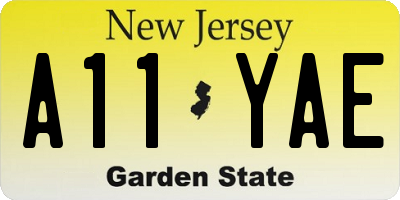 NJ license plate A11YAE