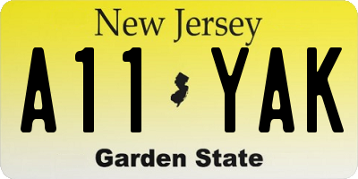 NJ license plate A11YAK