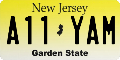 NJ license plate A11YAM