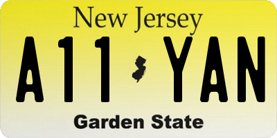 NJ license plate A11YAN