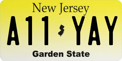NJ license plate A11YAY