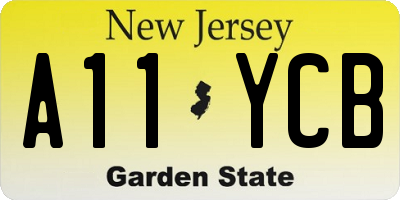 NJ license plate A11YCB