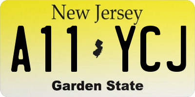 NJ license plate A11YCJ