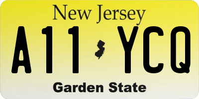 NJ license plate A11YCQ
