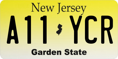 NJ license plate A11YCR