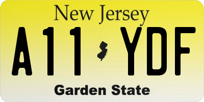 NJ license plate A11YDF