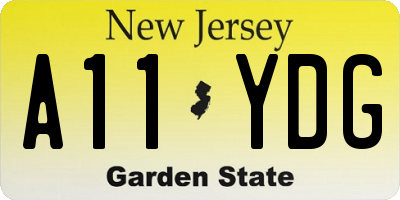 NJ license plate A11YDG