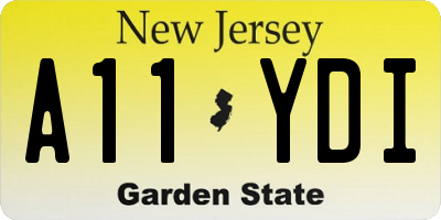 NJ license plate A11YDI