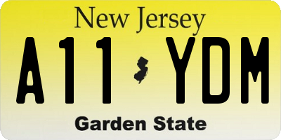 NJ license plate A11YDM