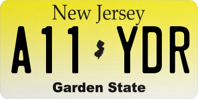 NJ license plate A11YDR