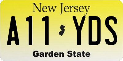 NJ license plate A11YDS