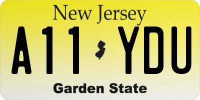 NJ license plate A11YDU
