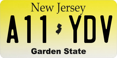 NJ license plate A11YDV