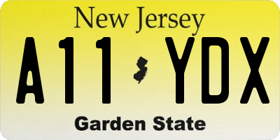 NJ license plate A11YDX