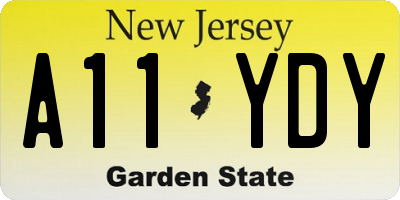 NJ license plate A11YDY