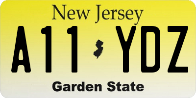 NJ license plate A11YDZ