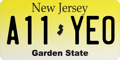NJ license plate A11YEO