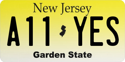 NJ license plate A11YES