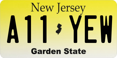 NJ license plate A11YEW