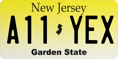 NJ license plate A11YEX