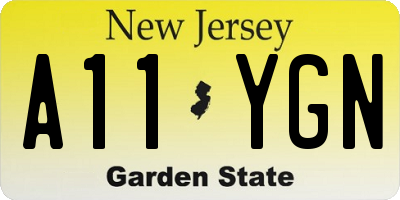 NJ license plate A11YGN