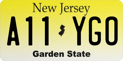 NJ license plate A11YGO