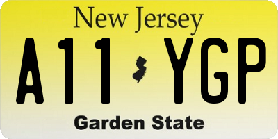 NJ license plate A11YGP