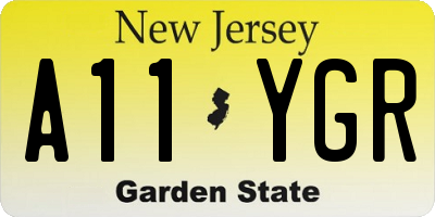 NJ license plate A11YGR