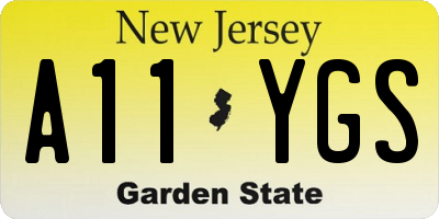 NJ license plate A11YGS