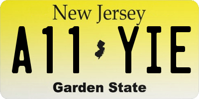 NJ license plate A11YIE