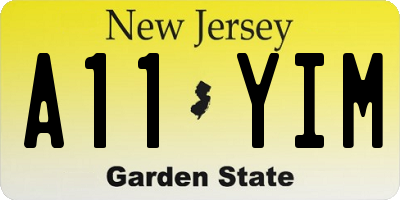 NJ license plate A11YIM