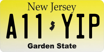 NJ license plate A11YIP