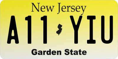 NJ license plate A11YIU