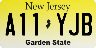 NJ license plate A11YJB