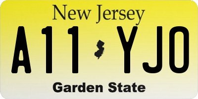 NJ license plate A11YJO