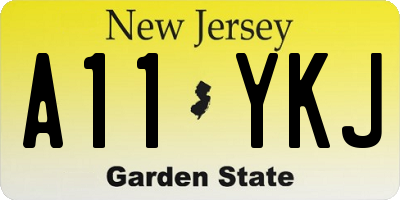 NJ license plate A11YKJ