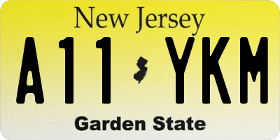 NJ license plate A11YKM