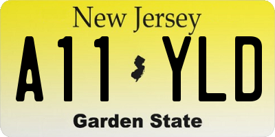 NJ license plate A11YLD