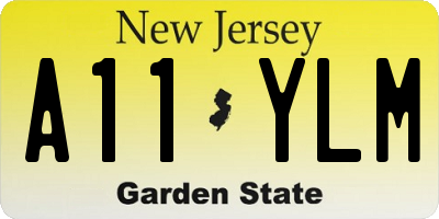 NJ license plate A11YLM