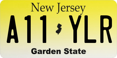 NJ license plate A11YLR