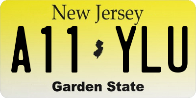 NJ license plate A11YLU