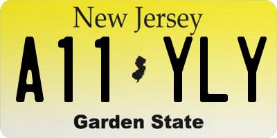 NJ license plate A11YLY
