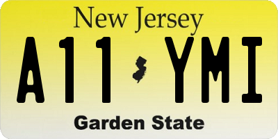 NJ license plate A11YMI
