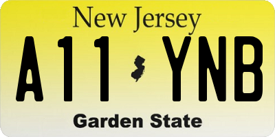 NJ license plate A11YNB