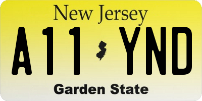 NJ license plate A11YND