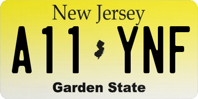 NJ license plate A11YNF