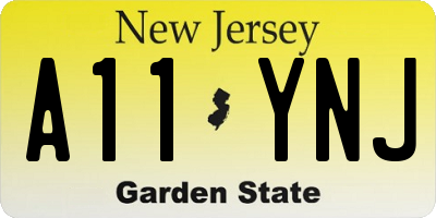 NJ license plate A11YNJ